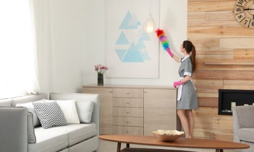 Young chambermaid wiping dust with brush in hotel room